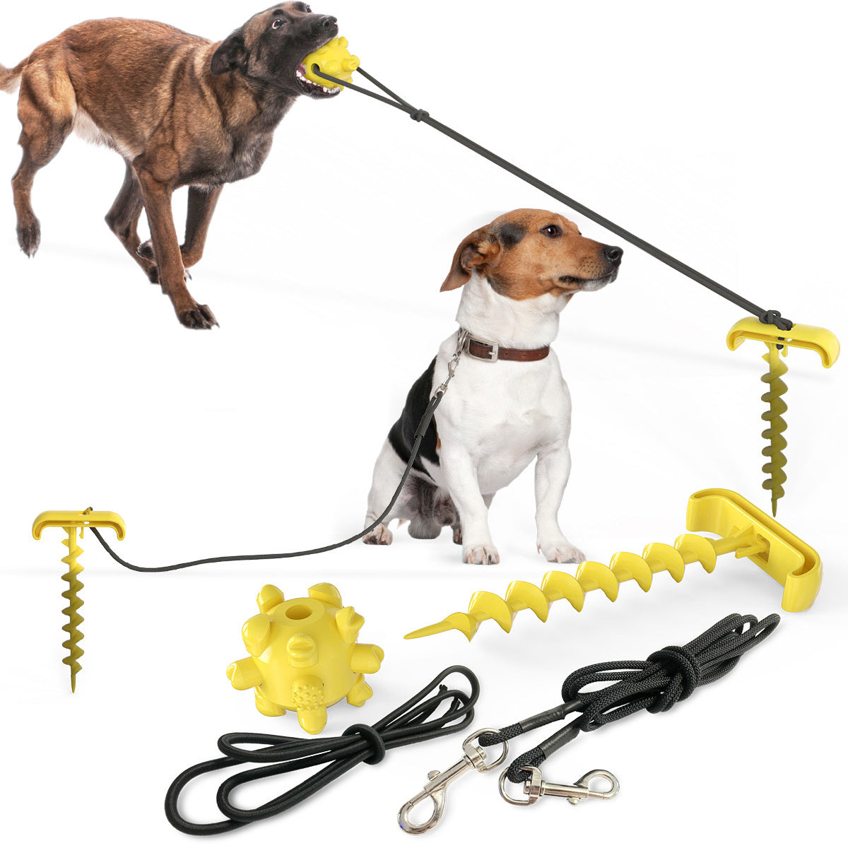 Tie dog leash and toy combo for dogs.