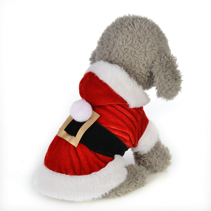 Dog Christmas costume