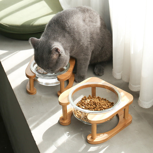 Glass cat food bowl, stylish and practical for your pet.