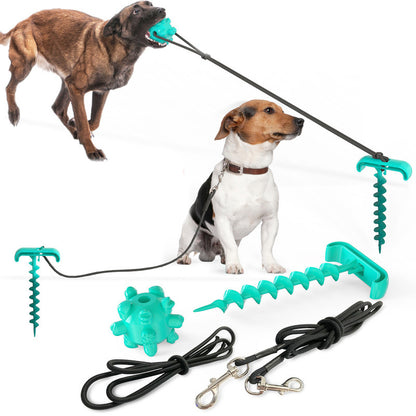 Tie dog leash and toy combo for dogs.